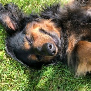 Meet your Posher, Paulette